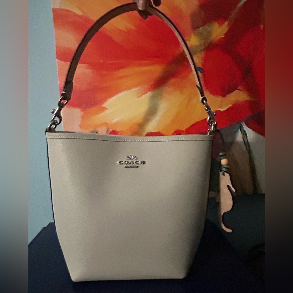 Coach small City bucket bag w/seahorse charm-light
 pistachio